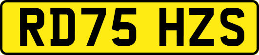 RD75HZS