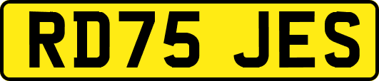 RD75JES