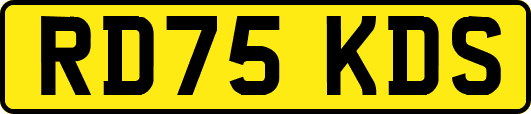 RD75KDS