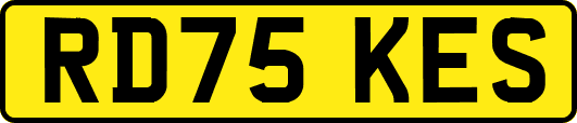 RD75KES