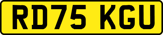RD75KGU
