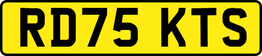 RD75KTS