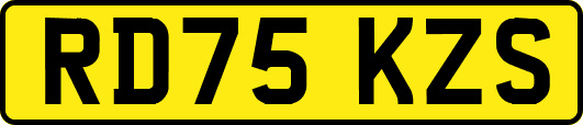 RD75KZS