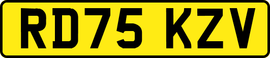 RD75KZV