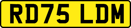 RD75LDM