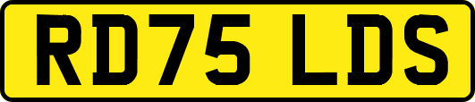 RD75LDS
