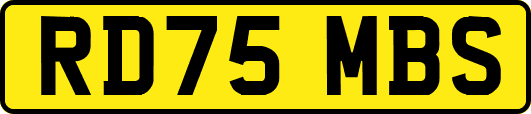RD75MBS
