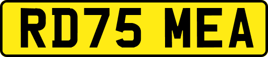 RD75MEA