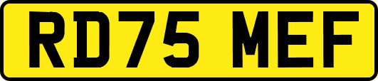 RD75MEF