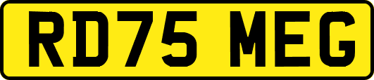 RD75MEG