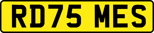 RD75MES