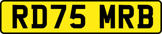 RD75MRB
