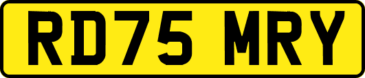 RD75MRY