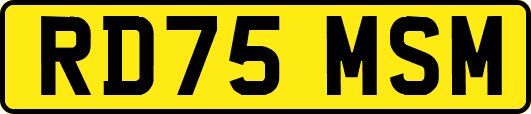 RD75MSM