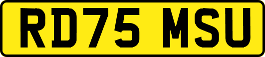 RD75MSU