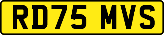 RD75MVS