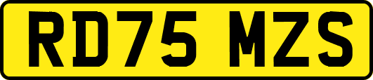 RD75MZS