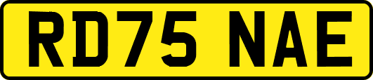 RD75NAE
