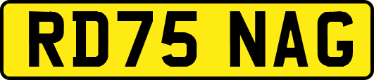 RD75NAG