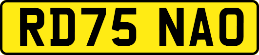 RD75NAO