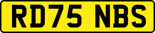 RD75NBS