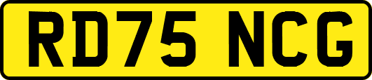 RD75NCG