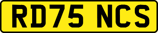 RD75NCS