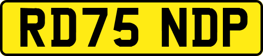 RD75NDP