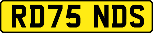 RD75NDS