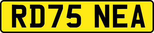 RD75NEA