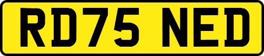 RD75NED