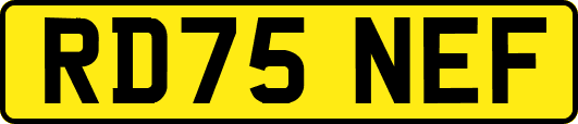 RD75NEF