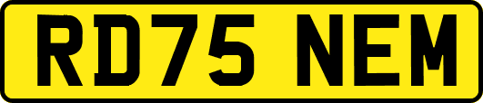 RD75NEM