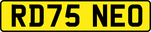 RD75NEO