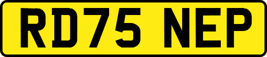 RD75NEP