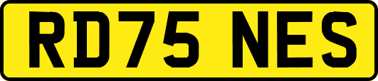 RD75NES