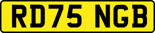 RD75NGB