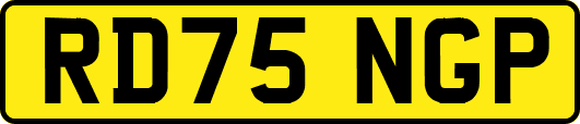 RD75NGP