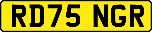 RD75NGR