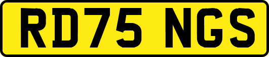 RD75NGS