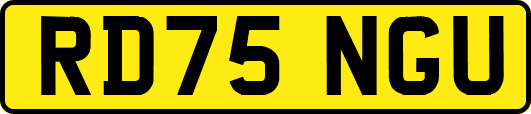 RD75NGU