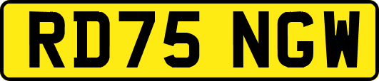 RD75NGW