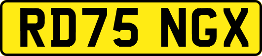RD75NGX