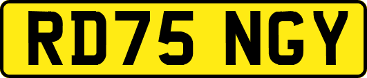 RD75NGY