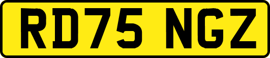 RD75NGZ