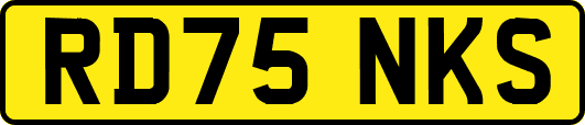 RD75NKS