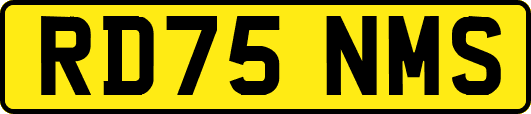 RD75NMS