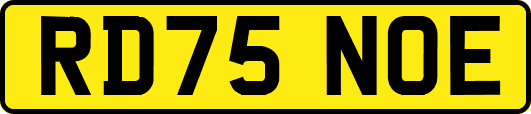 RD75NOE