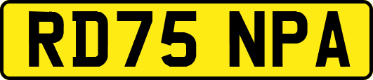 RD75NPA