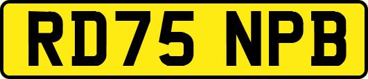 RD75NPB